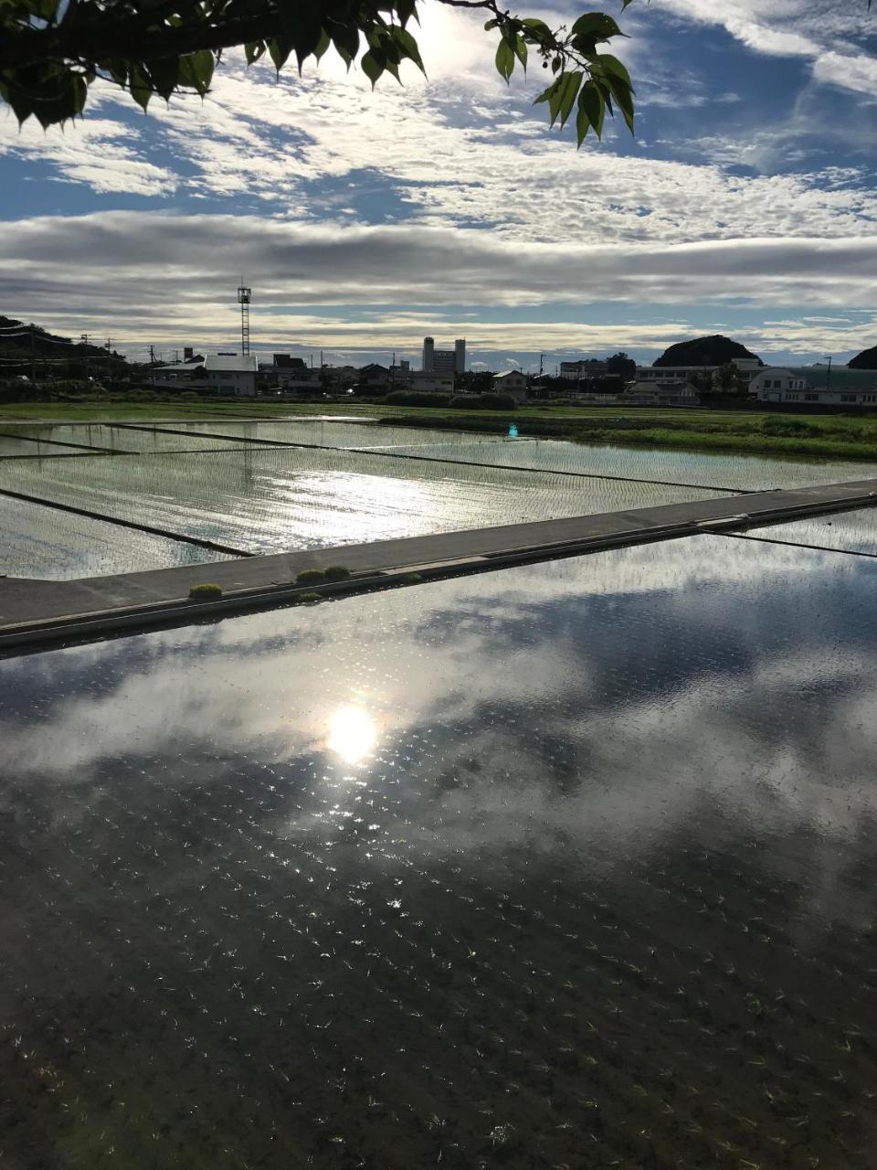 Guest House Itokawa Matsuzaki  Exterior photo